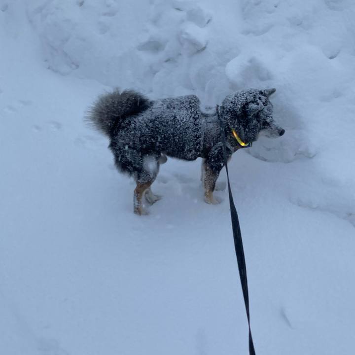 4139eb16 7d36 4b87 af3c 7eb272c5e347 1675329318488