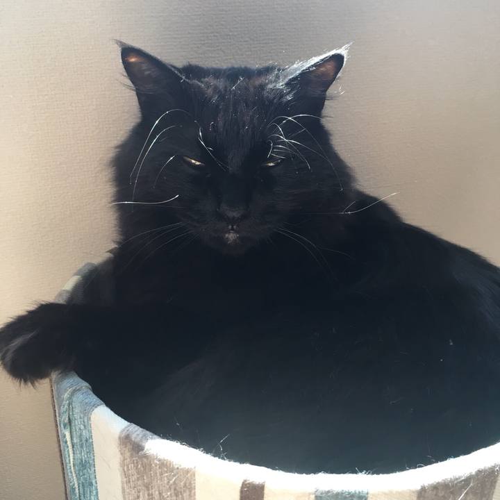 4139f3c6 5405 4b7f 9694 b40bdd51f2aa 1527137549596