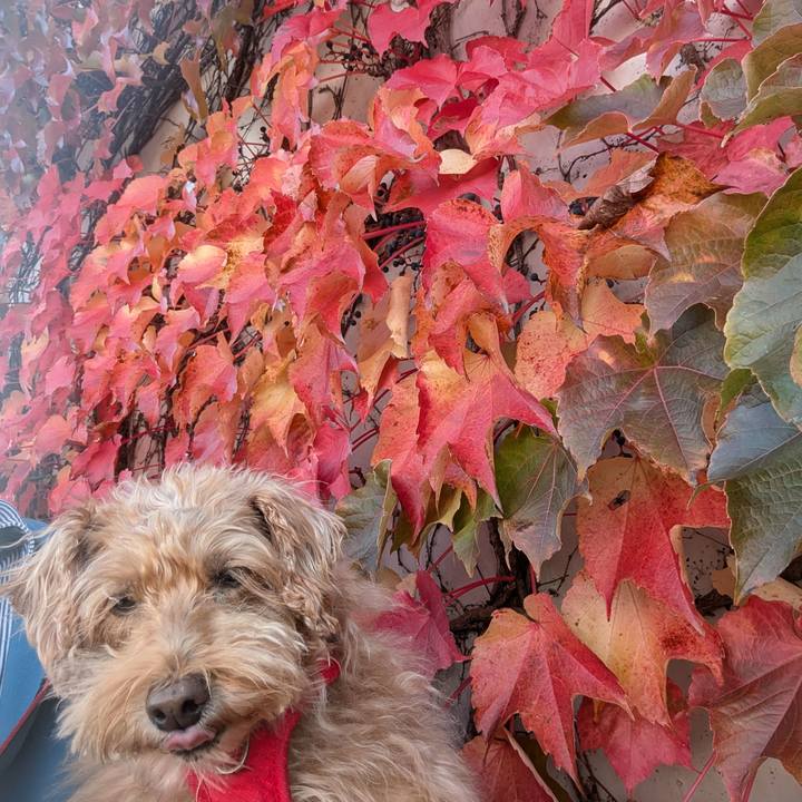 413a14f0 bedc 4c75 a950 27d6e1427177 1729418371158