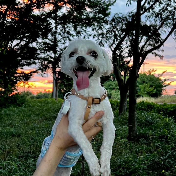 413a30eb 580a 4ec1 9cbb c299af848b10 1660568609244