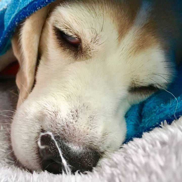 413a4f62 c5b7 4acb bcc8 a236bf65999b 1557116287964