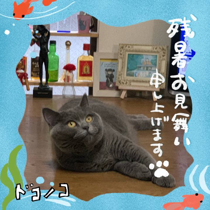 413a5a3e 32b5 40ae b09e 94b2beefb375 1723378294541
