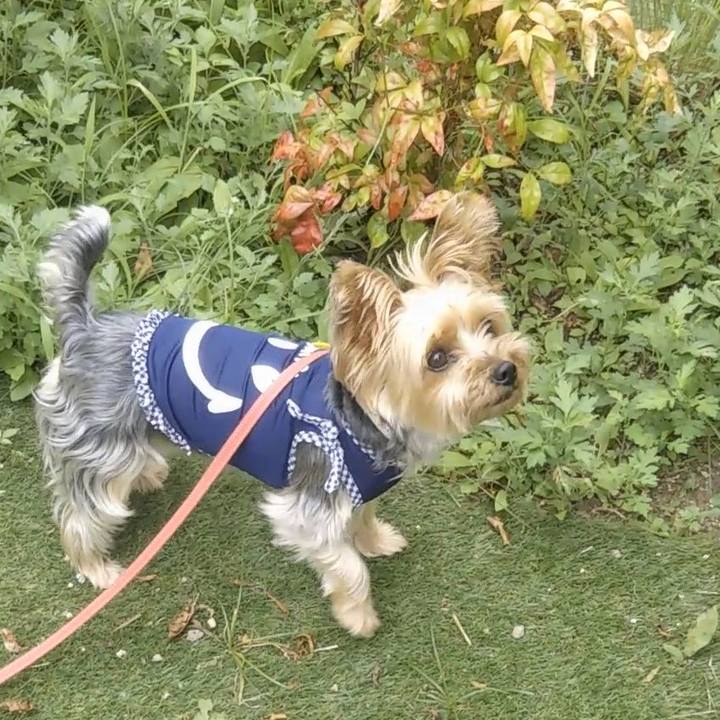 413a8d26 1fab 46d9 bca2 bad4faae3469 1690803145147