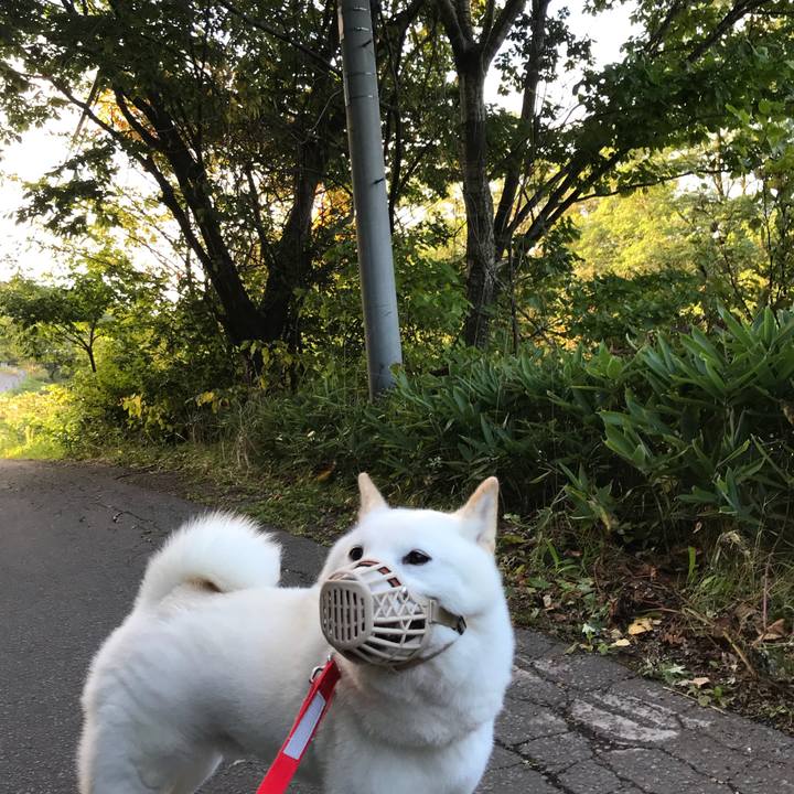 413ae0fa 8a8b 49b2 ba7b d634a1b3a105 1539385770994