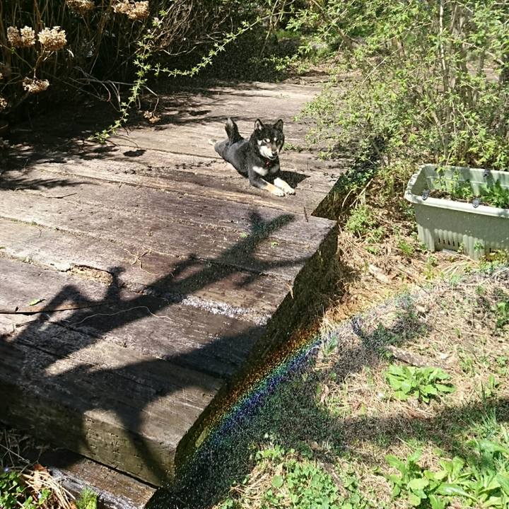 413ae2d3 c158 4d36 b051 e6e4cb560001 1524361549454