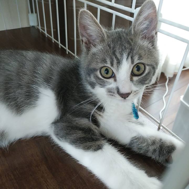 413b7412 309c 452f b548 085362d60268 1563579911199