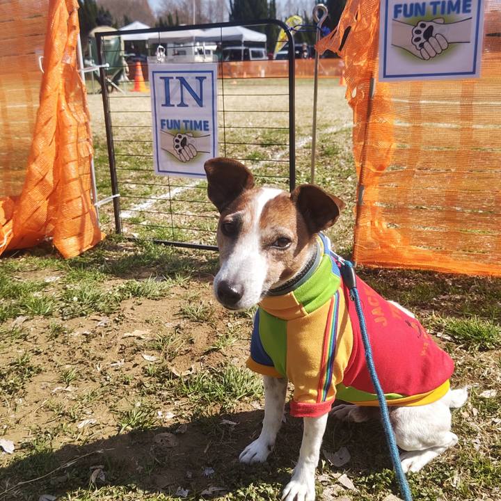 413b8b61 2e4b 4c1e 871f 6a2ebaf03c90 1773573634112