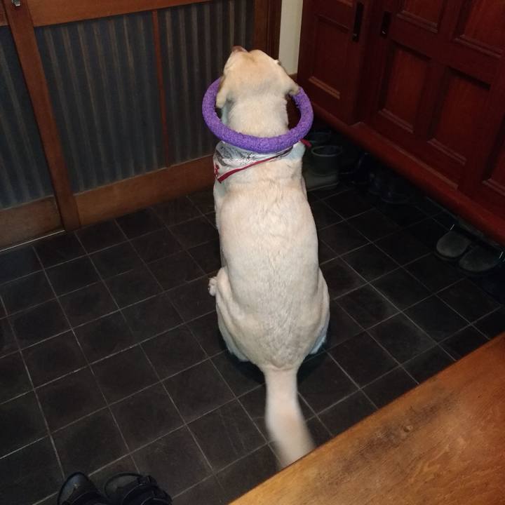 413bb80a 5748 4488 8c72 5f8627250a57 1613799238642