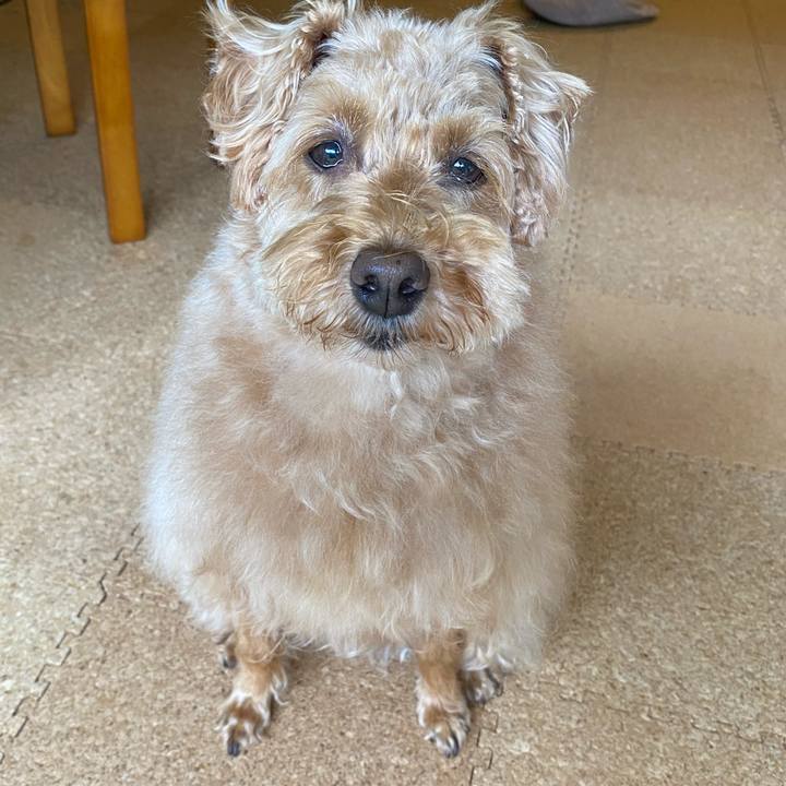 413bd448 0da2 411e 8473 34e037921688 1658019539239