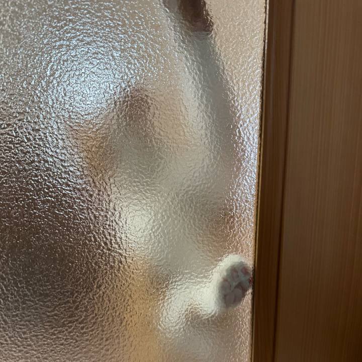 413bd8a7 db32 4163 bfc0 2abcbc8191b9 1762827519618