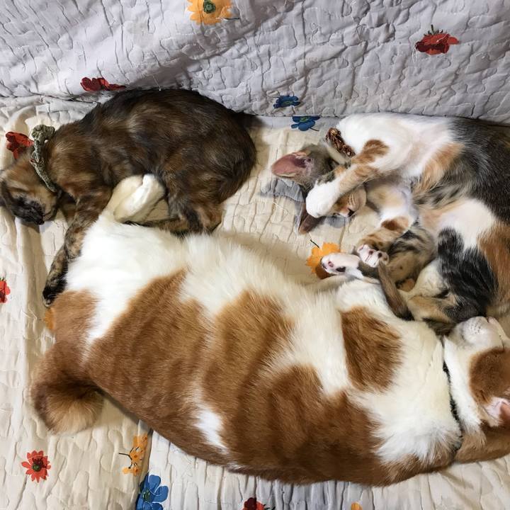 413c11cc 5e43 452f 939e a809741f74ed 1601291027087