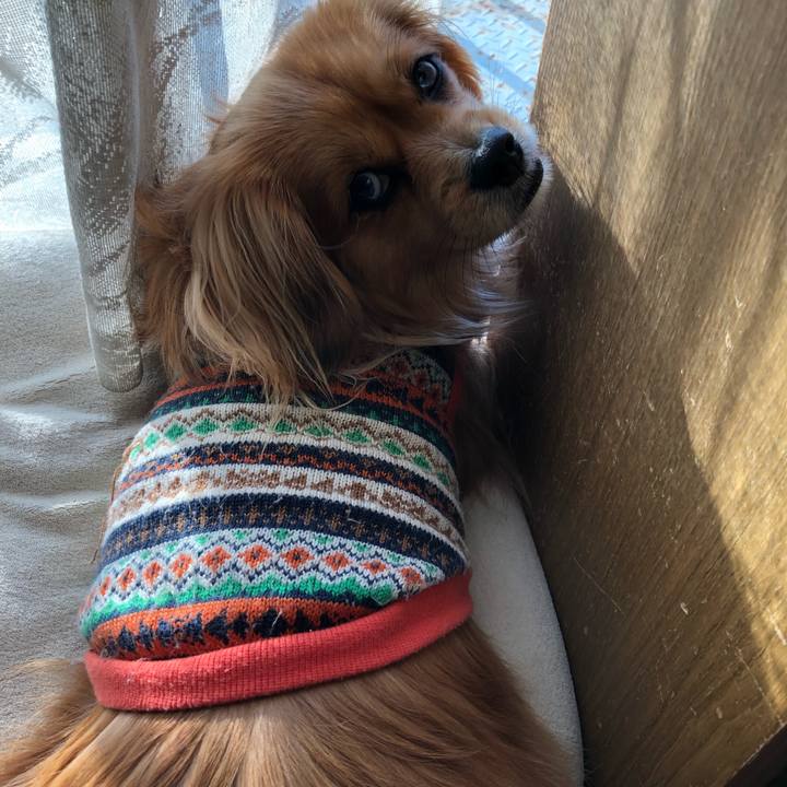 413c4665 6eb4 4447 8ac8 42327d1e8739 1552344420857