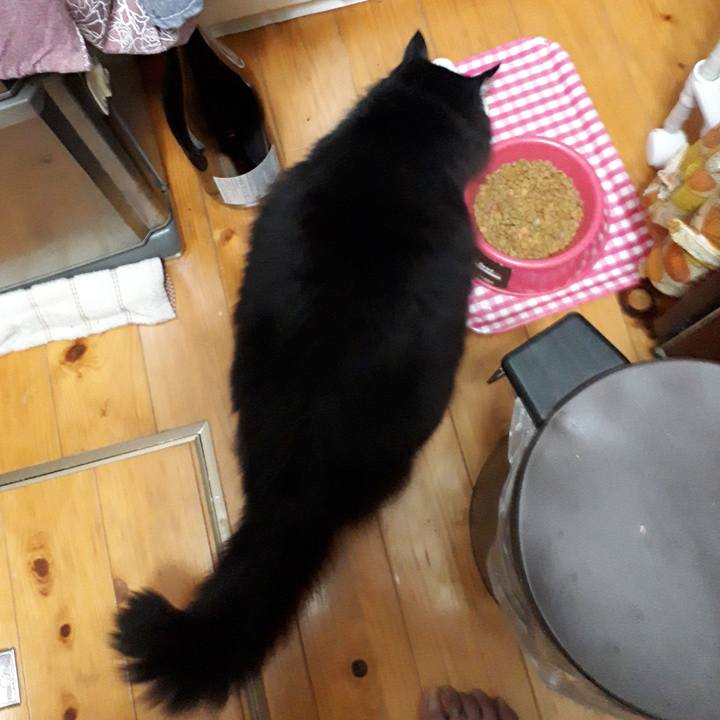 413c83b5 5f09 4cf2 a832 248c1850171b 1521924005124