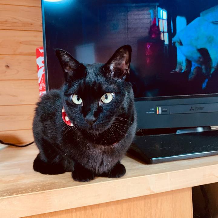 413ca1ed e1f4 473f 832f 9498a4257e99 1614148958781