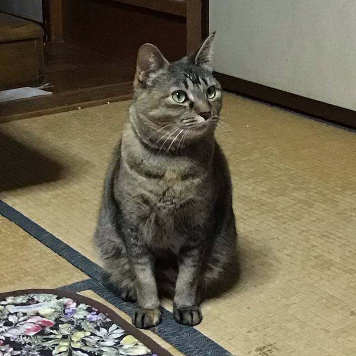 413ca213 8c17 4e49 909c 56be77e20f20 1682420532783