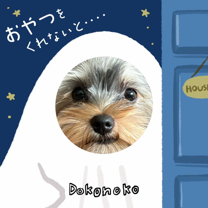 413cb243 a6cc 402d ac7d 935d4f0294d3 1729259523340