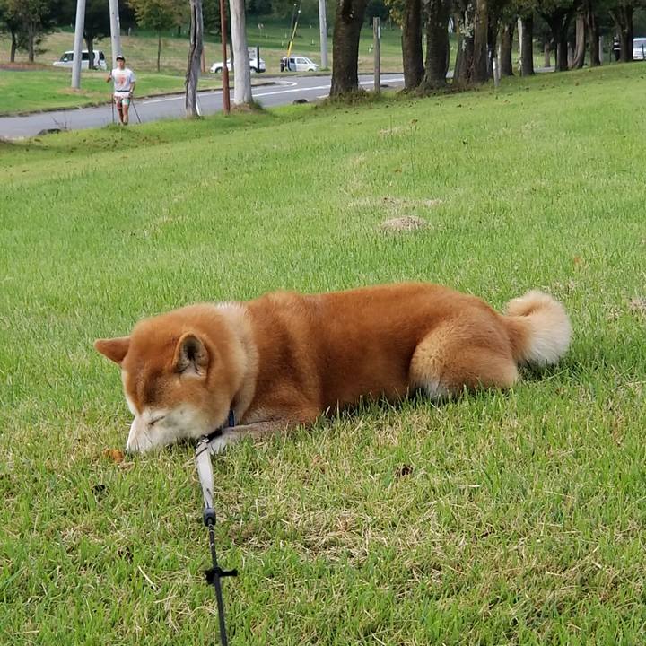 413ce998 1abb 4697 9d76 be7a9e1d5ed8 1631604968032