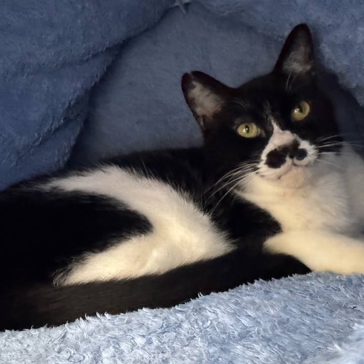 413d0d68 00d9 4ab8 a9b7 dacba681ec7b 1742689816569