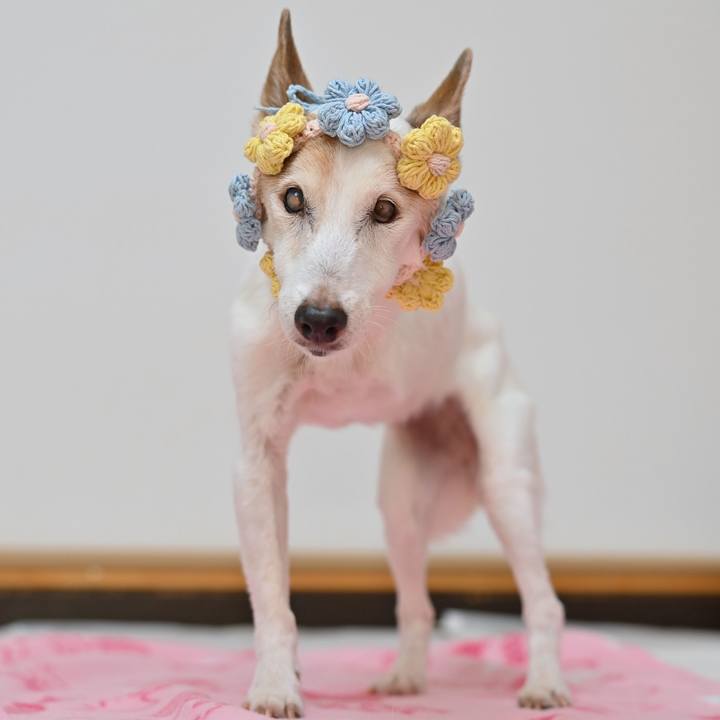 413d1f6f a0f9 4841 8626 9d3faa9c7c57 1763124729041