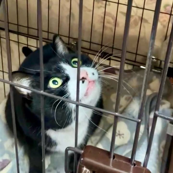 413d23f9 aab8 45de a81f bc743862ba4d 1739410886058