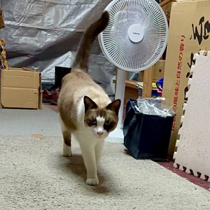 413d2f9b 5fd4 4e95 969b 499ca624f8a3 1763200863617