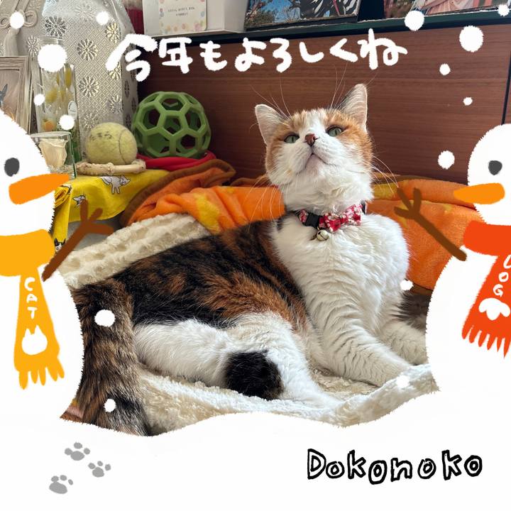 413d44a1 9d4c 48cc a252 c70dce88193f 1704178055079