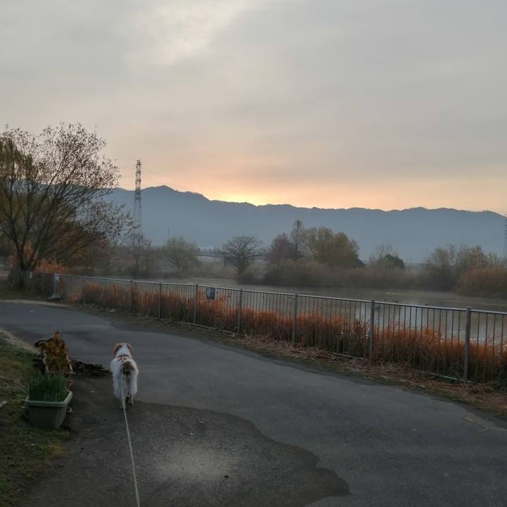 413d4592 704a 44f4 b4ee 63b4447f7989 1609203650040