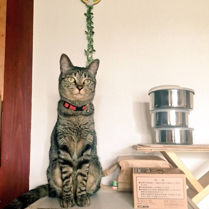 413d4af3 a962 481d 9f68 e0d25b3ce298 1529713239261