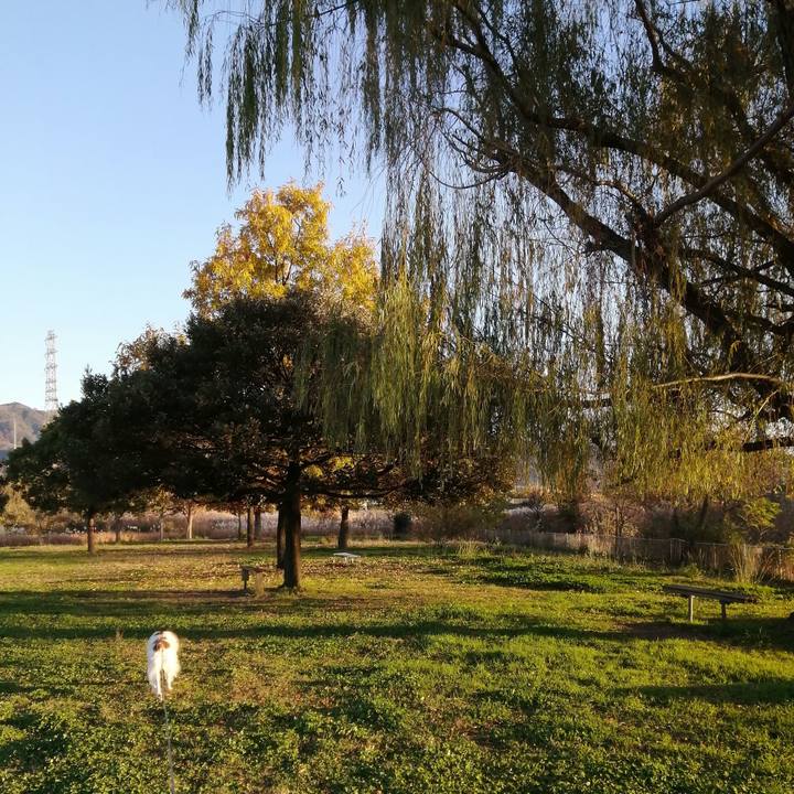 413d7886 95b8 4aea b786 ce195e5a9b40 1607243737283