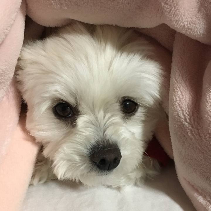 413de762 d3b8 4f67 b490 943ad2023727 1519260302985