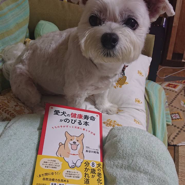 413de988 f367 402f ad1f af19c46af8cc 1659603573011