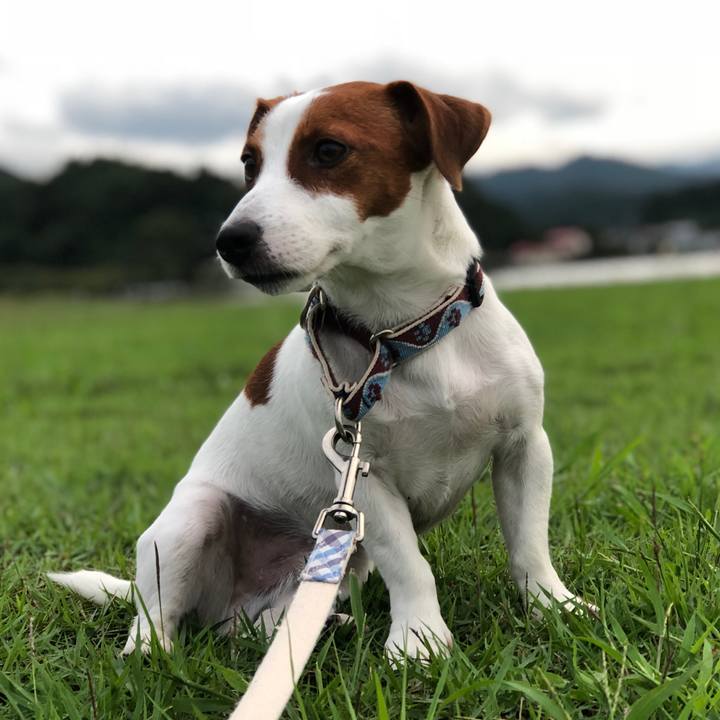 413df25c f2e5 46ff b01b 47e47bffec71 1537521227058