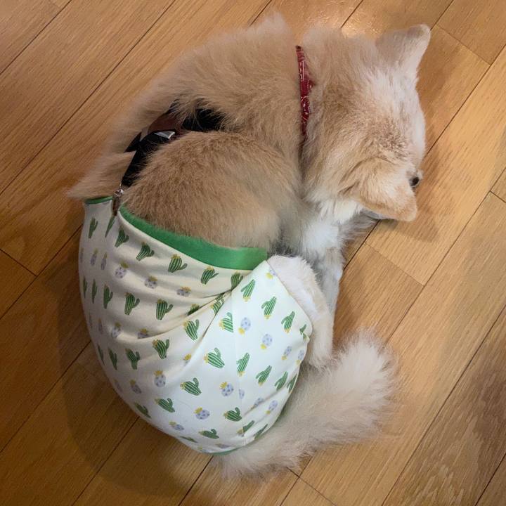 413e4217 3c16 421b b193 f49de297e1f9 1670168697141