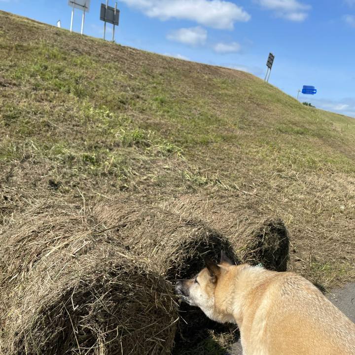 413e569d a0cd 42a2 a225 1ad8472355be 1684578704085