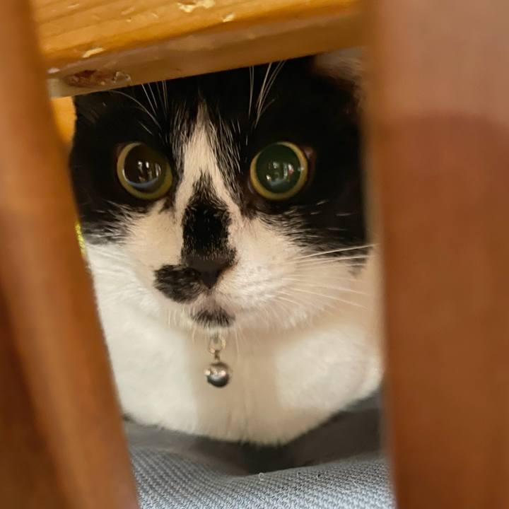 413e6efb 1562 42cf aa18 dd050db56787 1762612239779