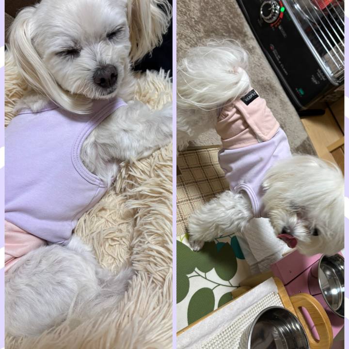 413e7ec1 4cac 4e55 804d a9b5180c5e8e 1763289452074