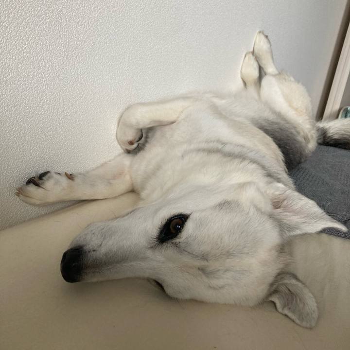 413eaf70 b436 4caa 9302 29c98a9a0338 1689770599080