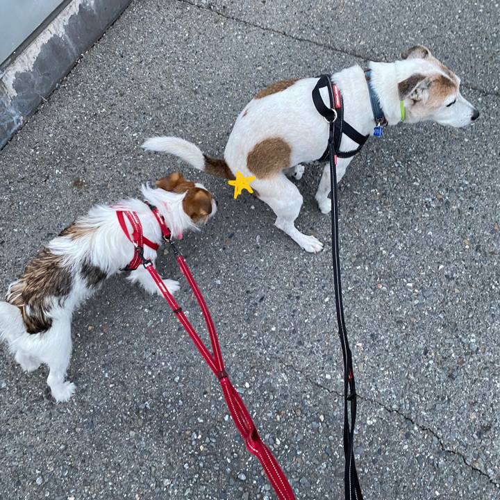 413ebef5 5b14 4041 b5f3 ee6d20efb66a 1631571031363