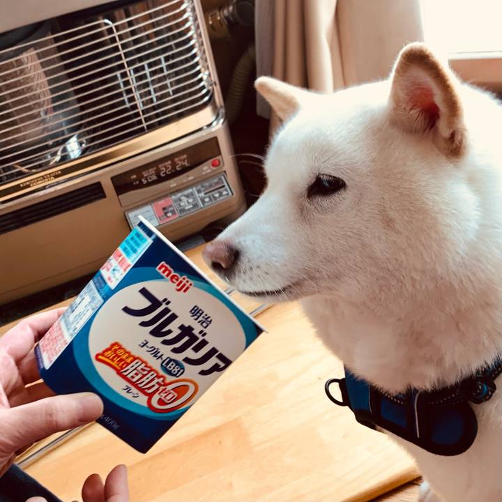 413ed97a ee1f 4b81 9d28 219cbd2aa2de 1646454167464