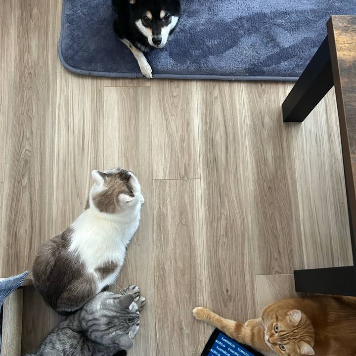 413eeea5 8c42 4f39 88cb 5fb001400305 1732529926941