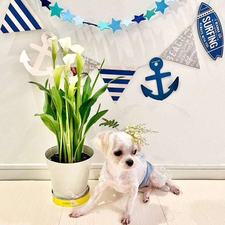 413f1be9 4617 439a 9c5a c2e73c1e945f 1658197710143