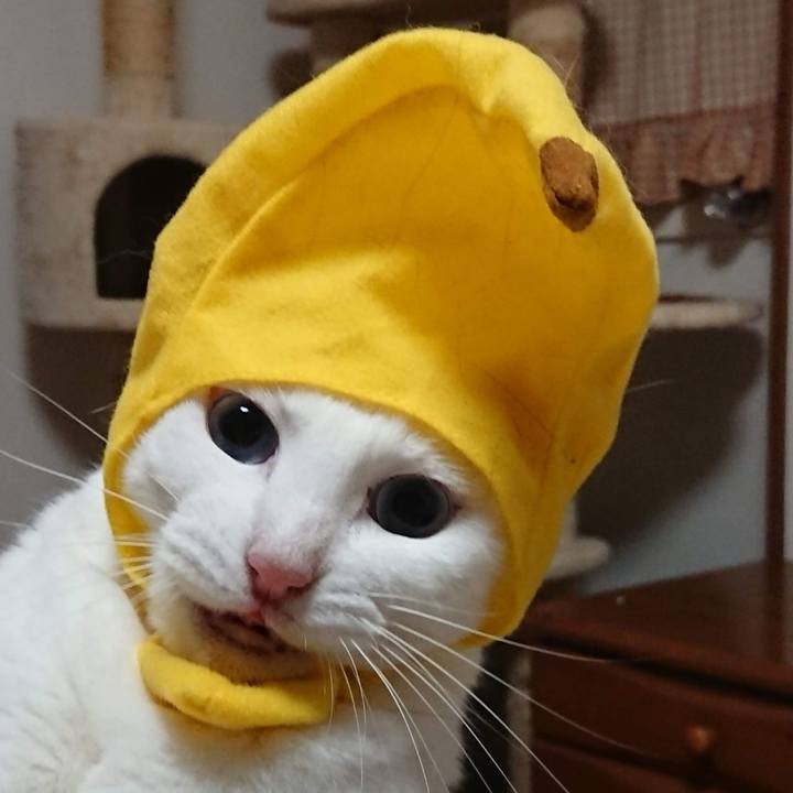 413f70ca 4f7f 4f13 867c 00b6d569fea9 1582606758100