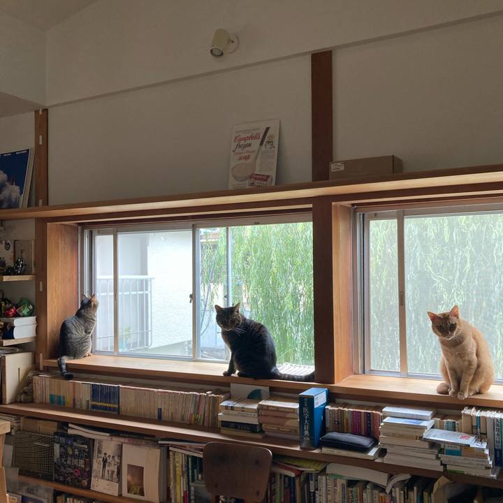 413f8093 9522 4833 9a52 f31718bde488 1728172052833