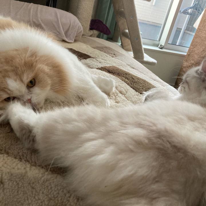 413f948e c2f9 4651 ad49 a12993371854 1676196128729