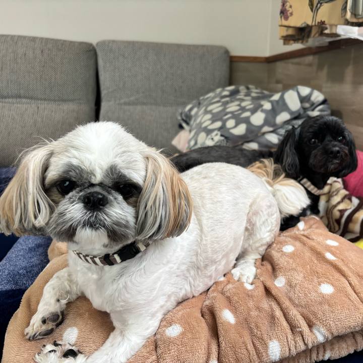 413fa626 9514 4b8e 8323 ea5a307a4733 1747982575173