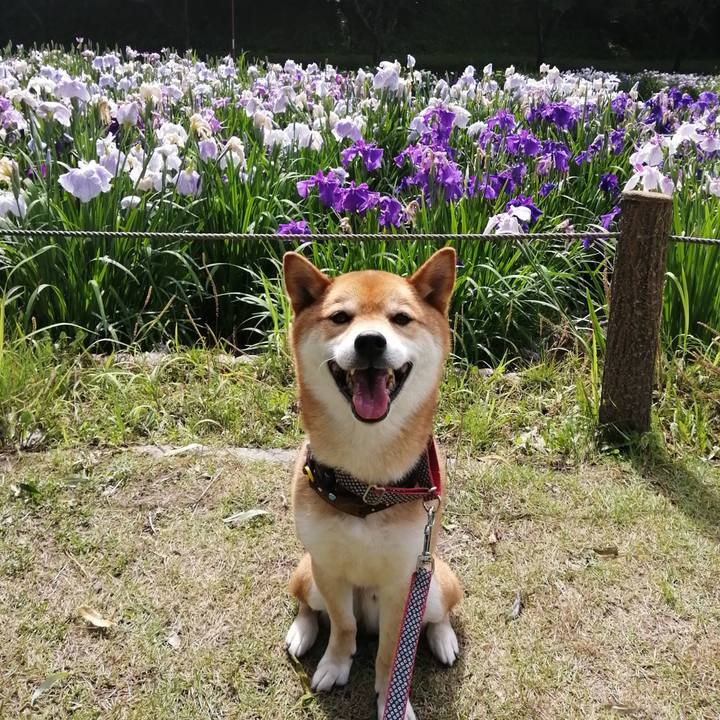 413fcb6b 66f3 4d15 b173 76de5b8e3349 1592183047779