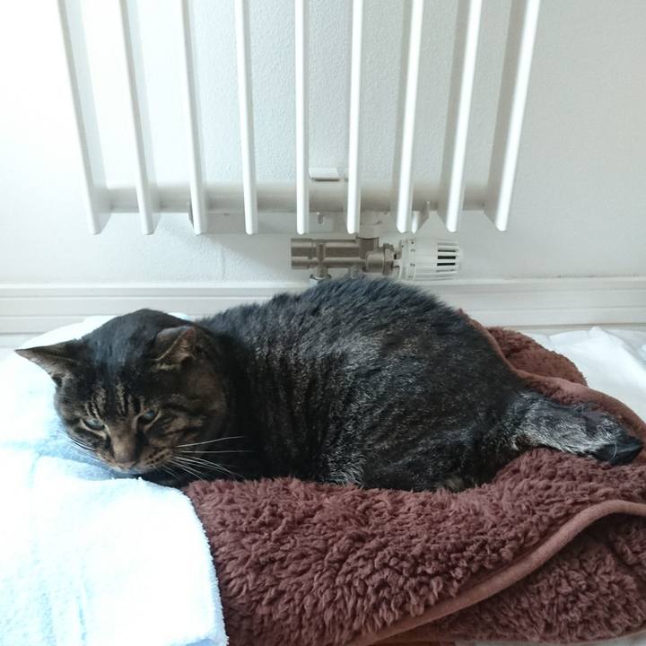 413ff649 0374 4bfe bb71 7b5eea17b120 1548311890723