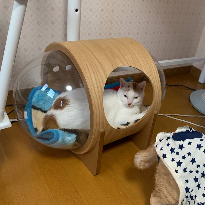 414000dc 1b77 4579 a961 6416075d7a68 1632089342838