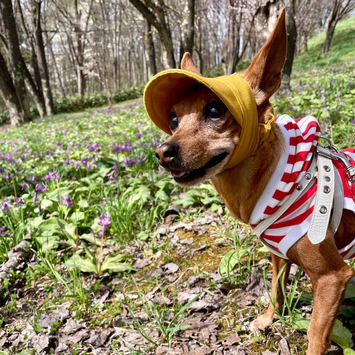 41402d44 8498 4a43 973f 10627caed033 1714201456020