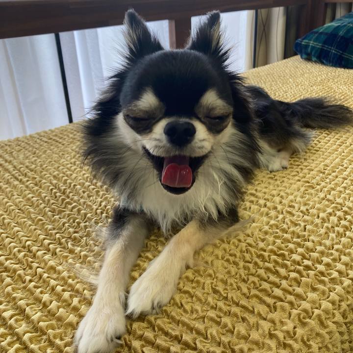 414046b3 965a 41f3 9fad f65c6c21da3d 1655041075897